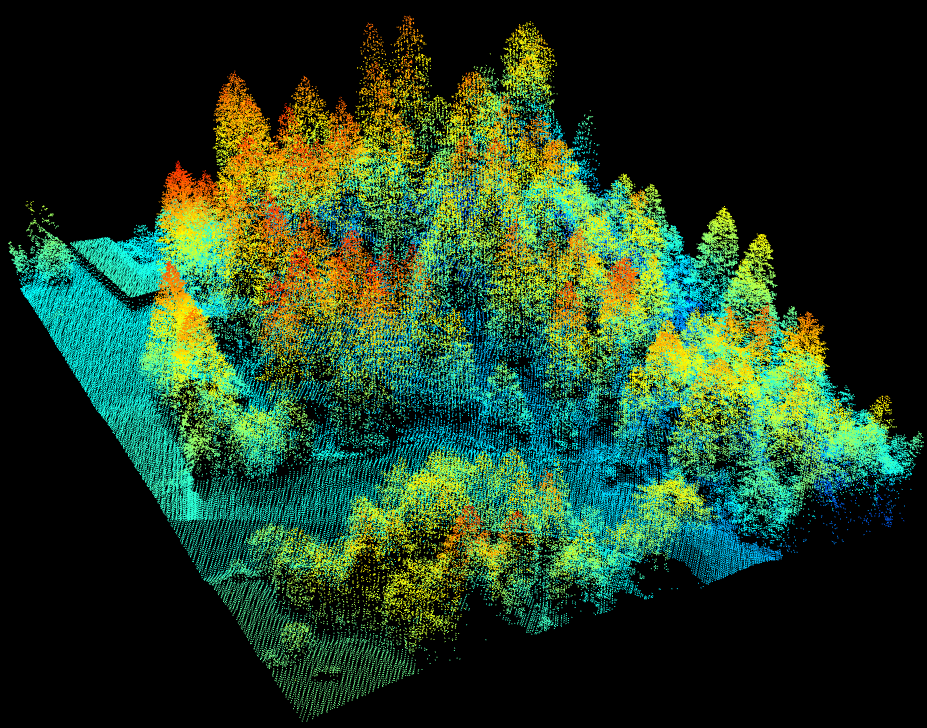 LiDAR point cloud